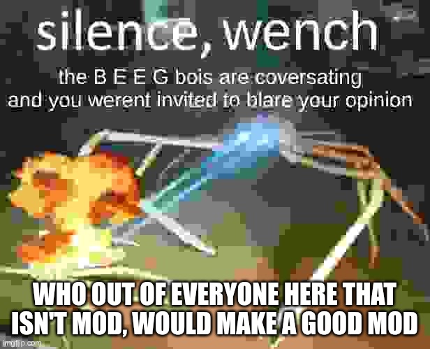 silence | WHO OUT OF EVERYONE HERE THAT ISN'T MOD, WOULD MAKE A GOOD MOD | image tagged in silence | made w/ Imgflip meme maker