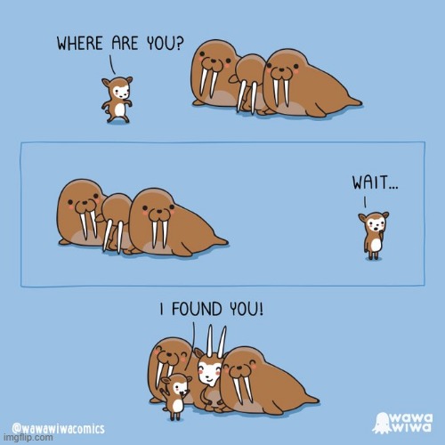 image tagged in goats,hide and seek,walruses,hiding,horns,tusks | made w/ Imgflip meme maker