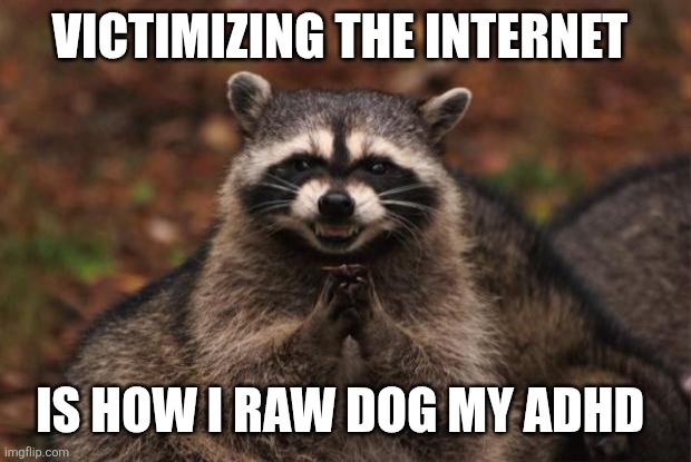 evil genius racoon | VICTIMIZING THE INTERNET; IS HOW I RAW DOG MY ADHD | image tagged in evil genius racoon | made w/ Imgflip meme maker