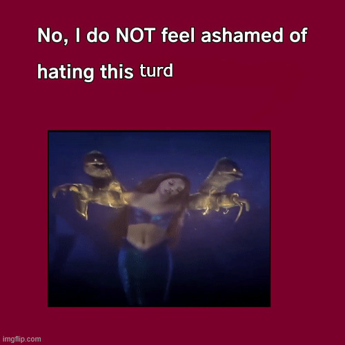 no i don't feel ashamed of hating this turd | turd | image tagged in no i don't feel ashamed,turd,amber turd,the little mermaid,live action remakes,princess ariel | made w/ Imgflip meme maker