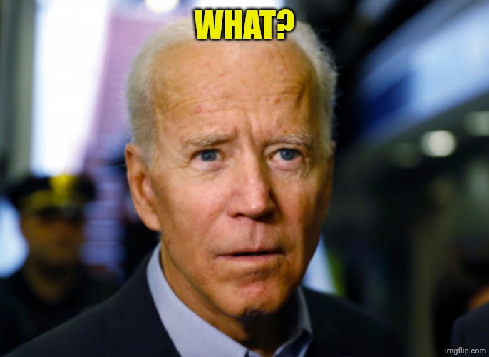 Joe Biden confused | WHAT? | image tagged in joe biden confused | made w/ Imgflip meme maker