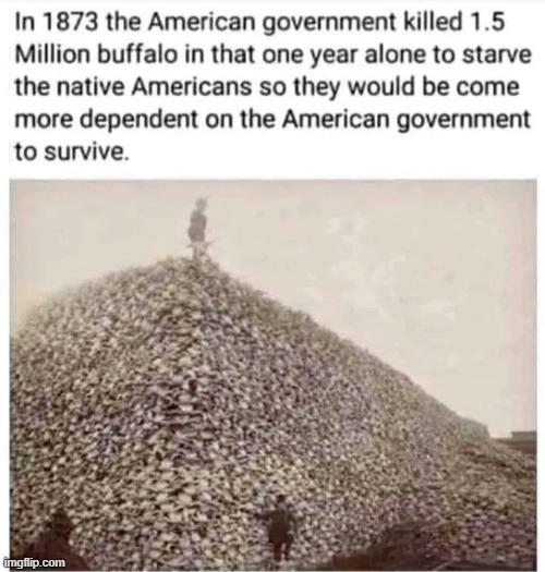 Maybe Billie Eilish needs a Lesson in history about how Native americans were treated in 1873. | image tagged in us government,buffalo,native americans,evil,history | made w/ Imgflip meme maker