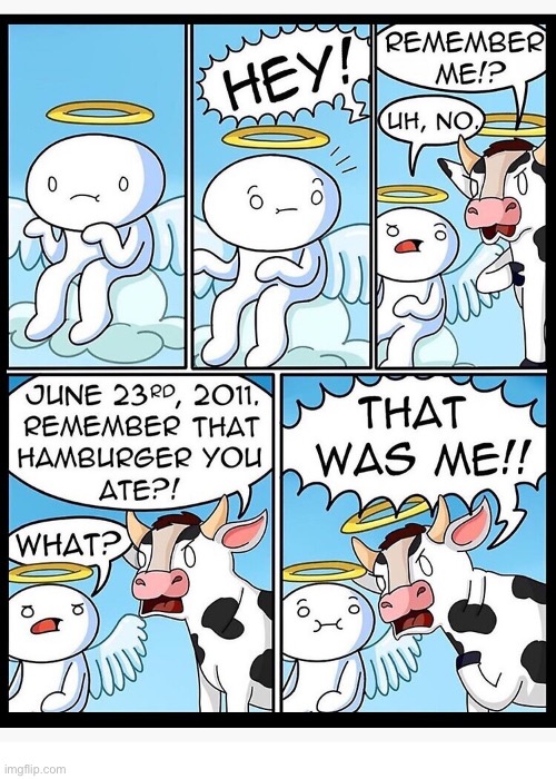 The Odd 1s Out | image tagged in comics,the odd 1s out,heaven,cow,hamburger,angry | made w/ Imgflip meme maker