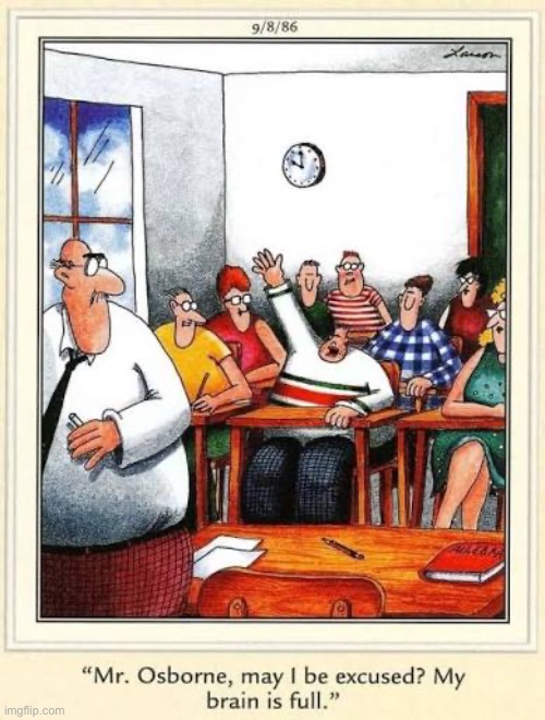 It didn’t take long to fill that head… | image tagged in the far side,comics,classroom,may i be excused,my brain is full,small head | made w/ Imgflip meme maker