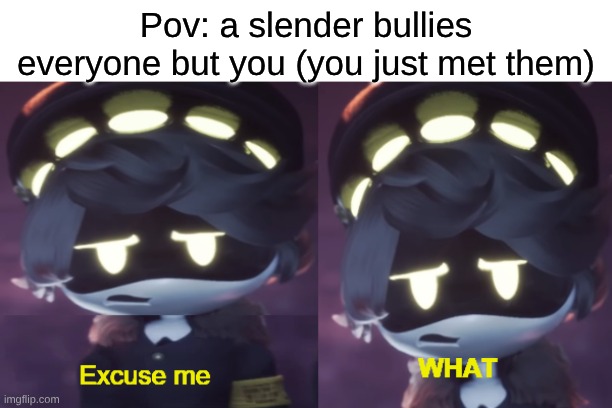 Excuse me WHAT | Pov: a slender bullies everyone but you (you just met them) | image tagged in excuse me what n edition | made w/ Imgflip meme maker