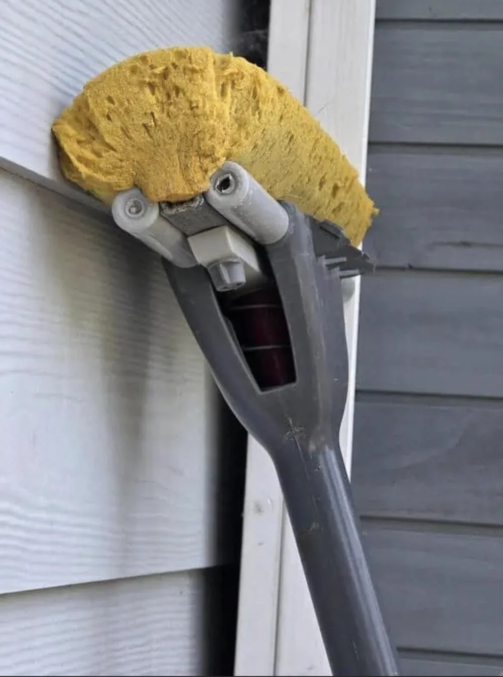 OMG or Oh Lord Blank Meme Template