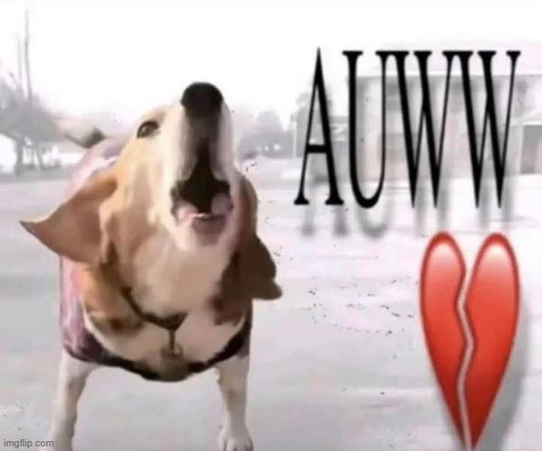 auww | made w/ Imgflip meme maker