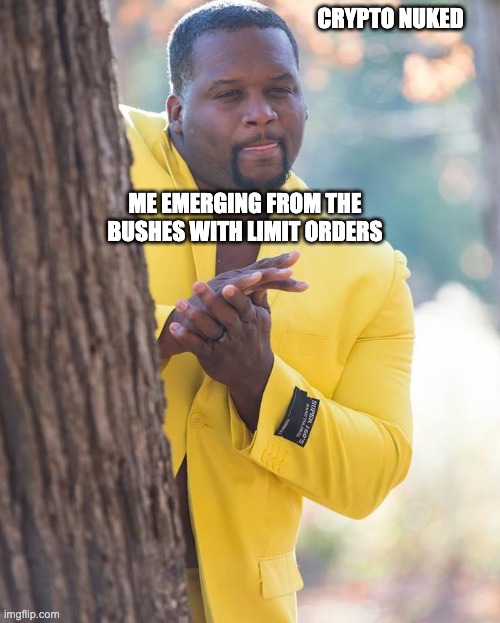 Time to fill those bags | CRYPTO NUKED; ME EMERGING FROM THE BUSHES WITH LIMIT ORDERS | image tagged in anthony adams rubbing hands | made w/ Imgflip meme maker