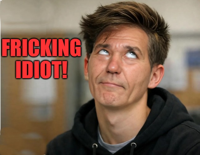Whinny little B | FRICKING IDIOT! | image tagged in whinny little b | made w/ Imgflip meme maker