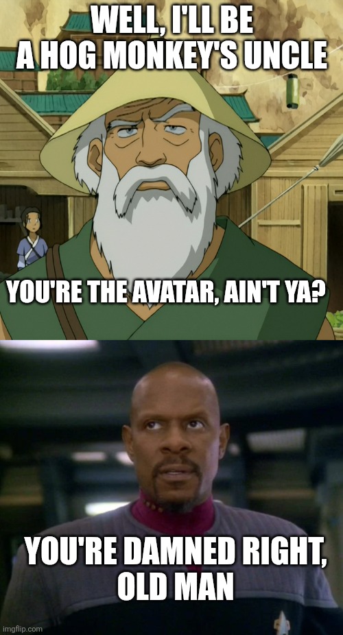 He is the Aang, he is corporeal | WELL, I'LL BE A HOG MONKEY'S UNCLE; YOU'RE THE AVATAR, AIN'T YA? YOU'RE DAMNED RIGHT,
OLD MAN | image tagged in ds9,avatar the last airbender,sisko,aang,hawk,emissary | made w/ Imgflip meme maker