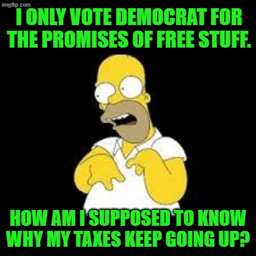 Why indeed. | I ONLY VOTE DEMOCRAT FOR THE PROMISES OF FREE STUFF. HOW AM I SUPPOSED TO KNOW WHY MY TAXES KEEP GOING UP? | image tagged in look marge | made w/ Imgflip meme maker