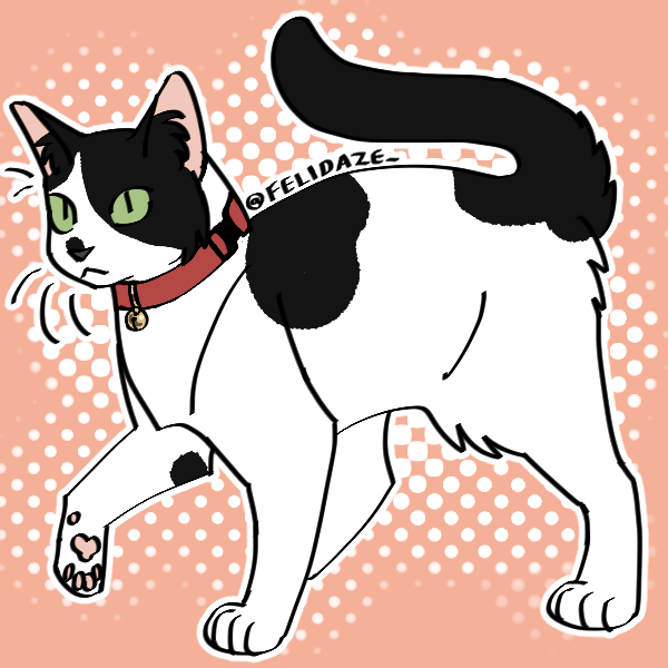 High Quality ♡♡kitler in picrew♡♡ Blank Meme Template