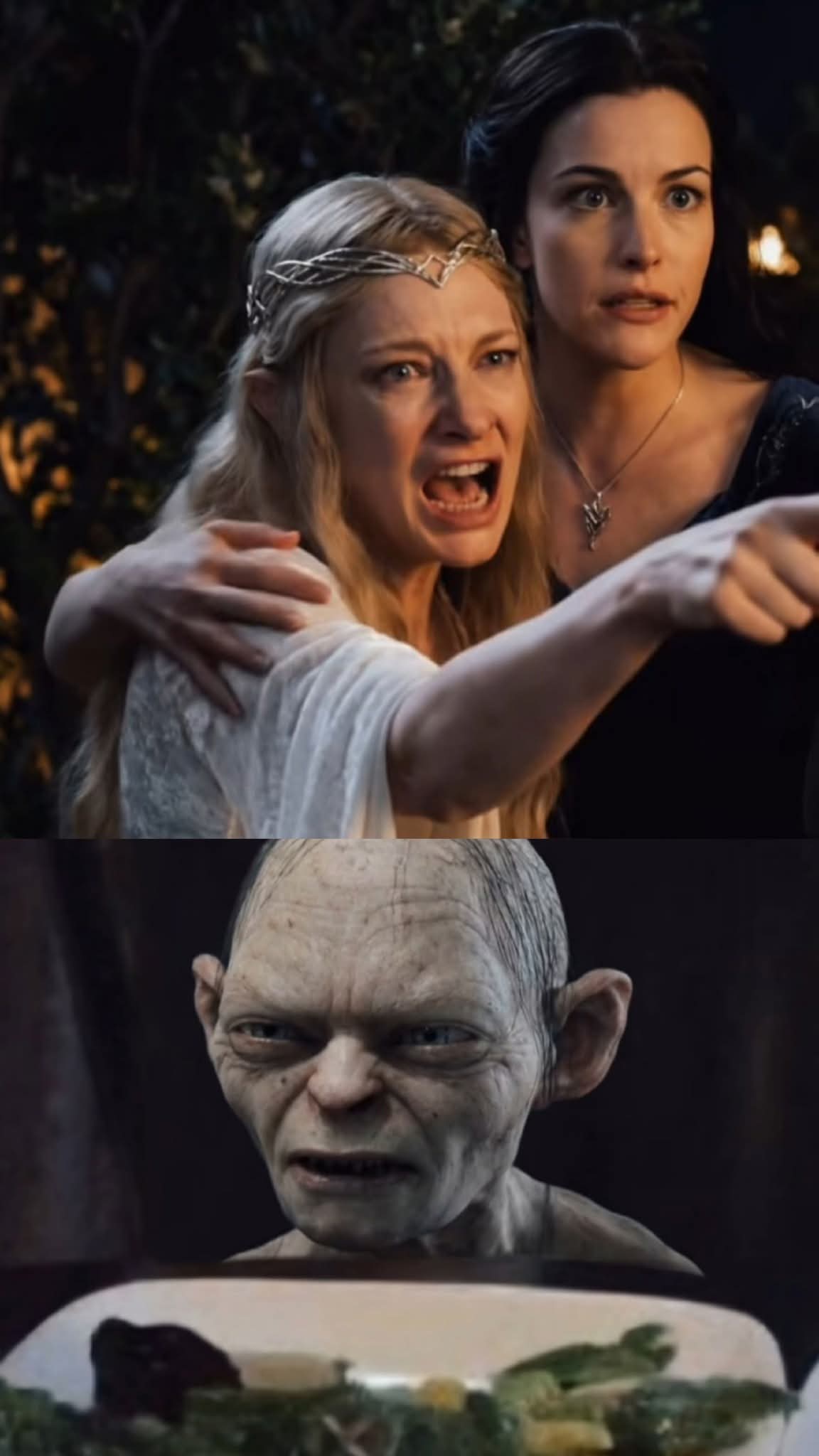 Cat meme Blank Meme Template