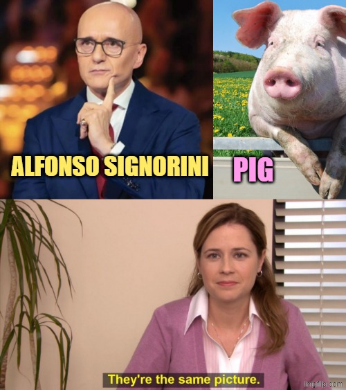 ALFONSO SIGNORINI; PIG | image tagged in memes,they're the same picture | made w/ Imgflip meme maker