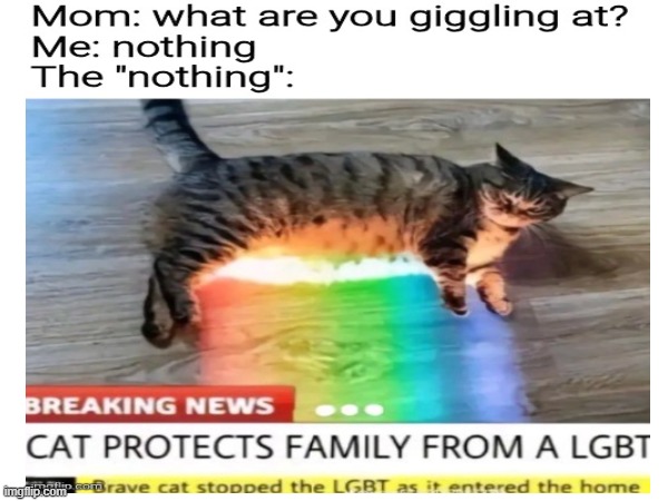 cat protect family from lgbtq | image tagged in funny,lgbtq,fun,meme,memes,lolcats | made w/ Imgflip meme maker