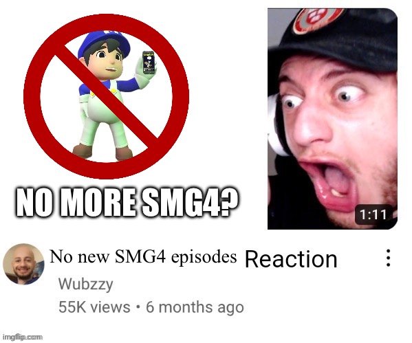 This Strayberry Shitcake Post I made on the SMG4 stream | NO MORE SMG4? No new SMG4 episodes | image tagged in reaction shitpost,smg4 | made w/ Imgflip meme maker