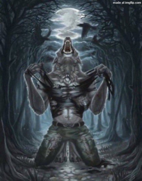 alpha wolf | image tagged in alpha wolf | made w/ Imgflip meme maker