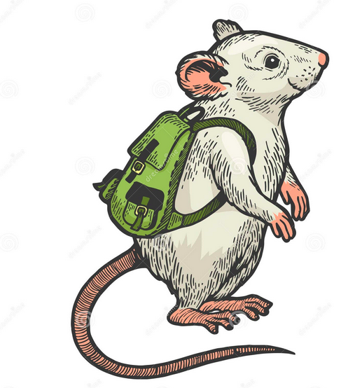 mouse pack Blank Meme Template