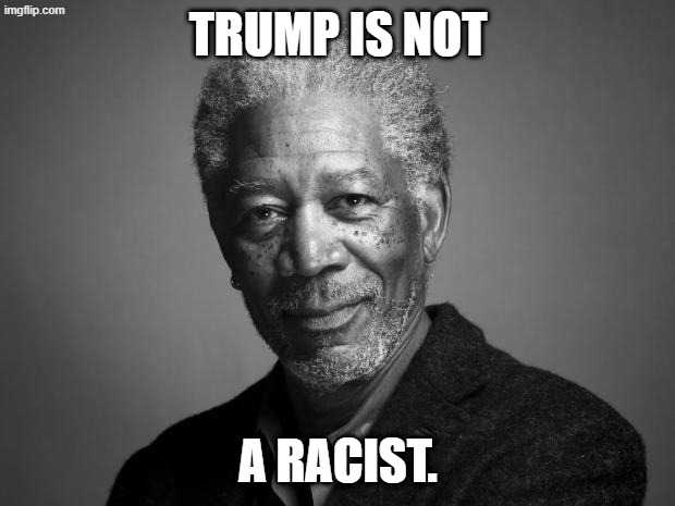 Morgan Freeman | TRUMP IS NOT A RACIST. | image tagged in morgan freeman | made w/ Imgflip meme maker