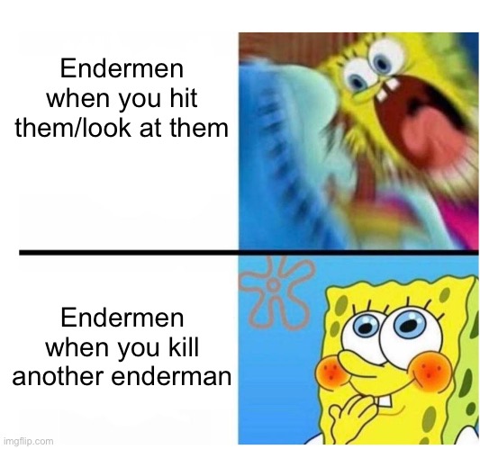 No regard for others of their species | Endermen when you hit them/look at them; Endermen when you kill another enderman | image tagged in spongebob angry cute,spongebob,minecraft,memes,minecraft memes | made w/ Imgflip meme maker