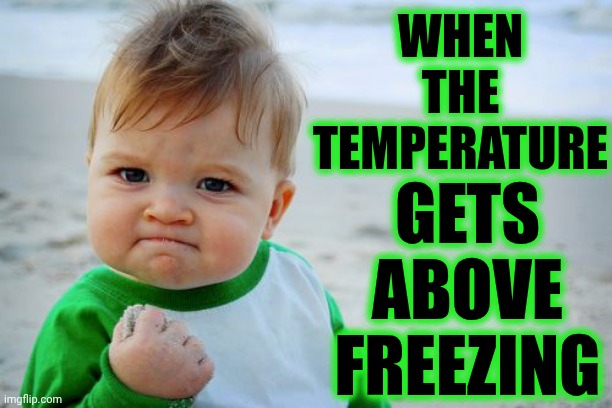 All The Leaves Are Brown And The Sky Is Grey On Such A Winter's Day | WHEN THE TEMPERATURE; GETS ABOVE FREEZING | image tagged in memes,success kid original,winter is here,freezing cold,california dreamin,too cold | made w/ Imgflip meme maker