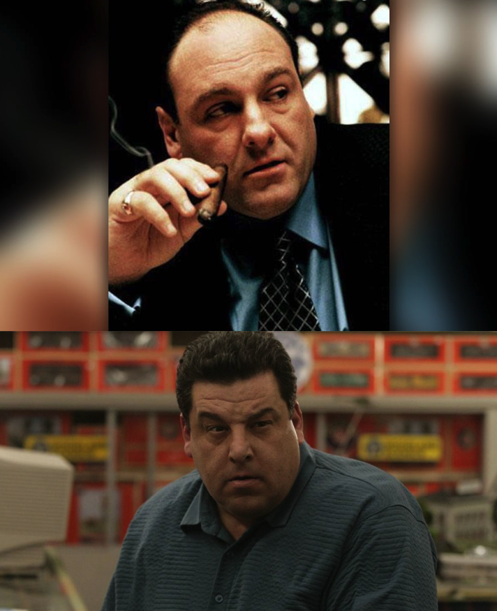 Self view: image vs reality Blank Meme Template