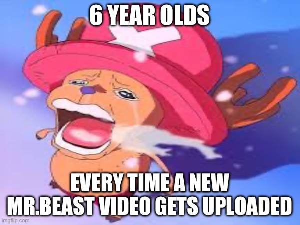 6 year old hid vids are not that good :) | 6 YEAR OLDS; EVERY TIME A NEW MR.BEAST VIDEO GETS UPLOADED | image tagged in chopper,one piece,yelling,mr beast,childhood | made w/ Imgflip meme maker
