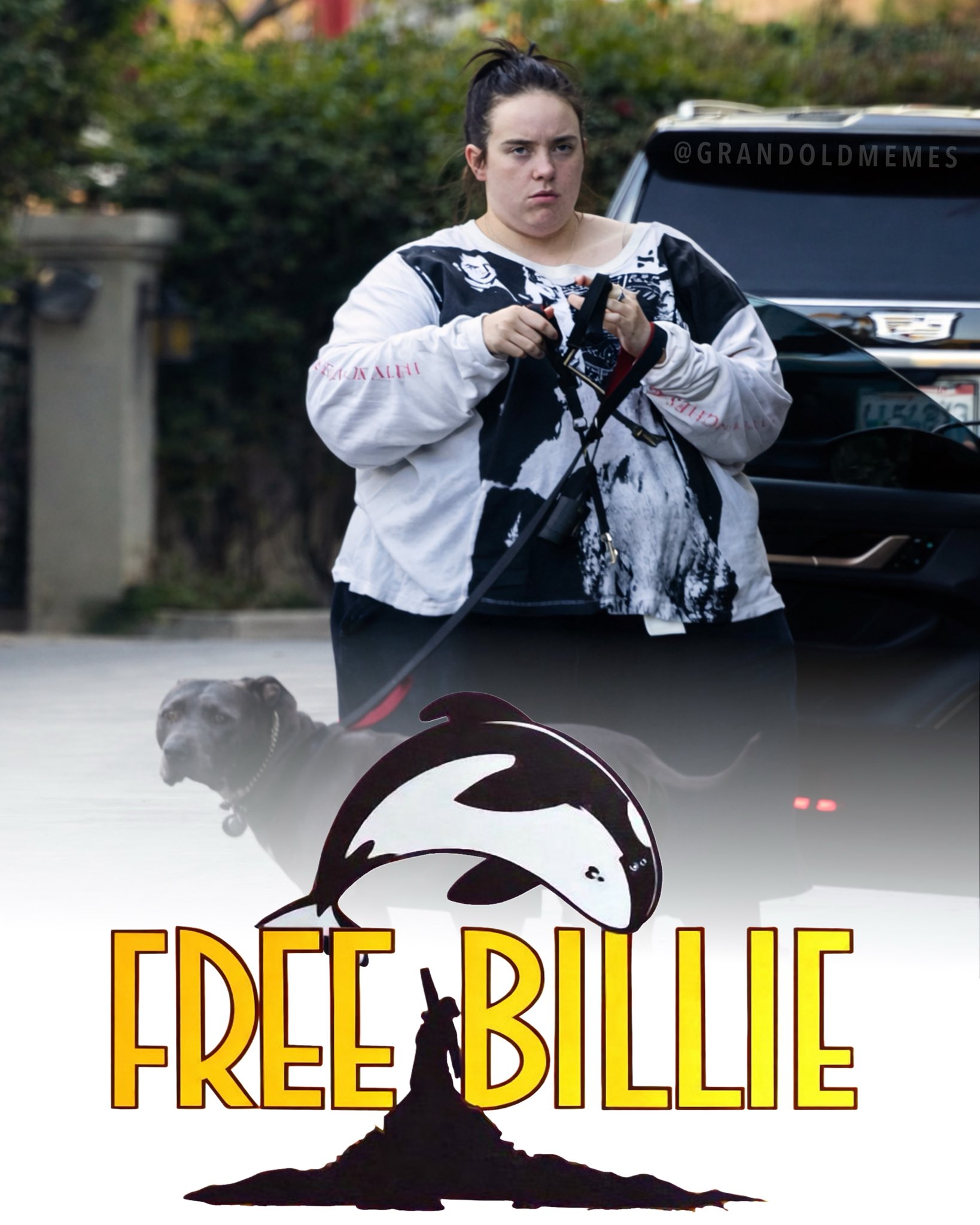 Billie Eilish Blank Meme Template