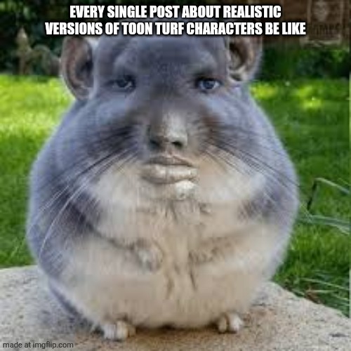 The type of shi I see on reddit | EVERY SINGLE POST ABOUT REALISTIC VERSIONS OF TOON TURF CHARACTERS BE LIKE | image tagged in grey chinchilla meme,reddit,be like | made w/ Imgflip meme maker