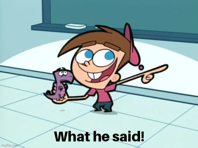 What He Said | image tagged in what he said,timmy turner,the fairly oddparents,memes,reactions,meme template | made w/ Imgflip meme maker