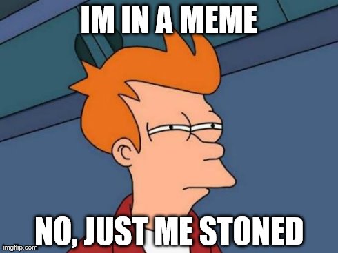 Futurama Fry Meme | IM IN A MEME NO, JUST ME STONED | image tagged in memes,futurama fry | made w/ Imgflip meme maker