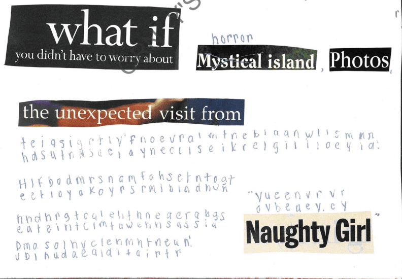 Epstein Victim's diary Blank Meme Template