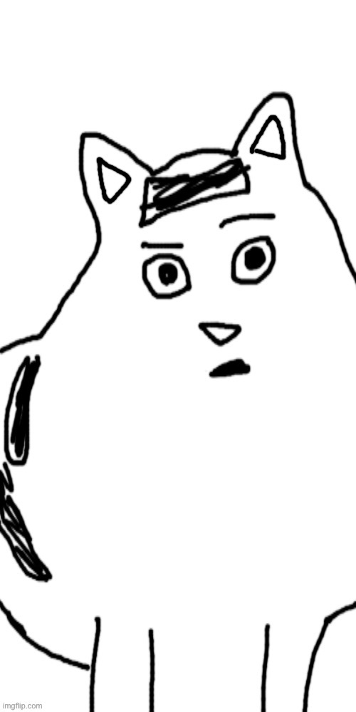 It’s a temp now | image tagged in concerned huh cat | made w/ Imgflip meme maker