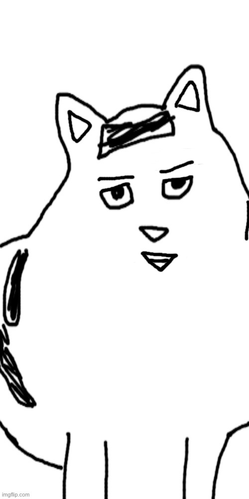 Michievous fockin cat <//3 | image tagged in concerned huh cat | made w/ Imgflip meme maker