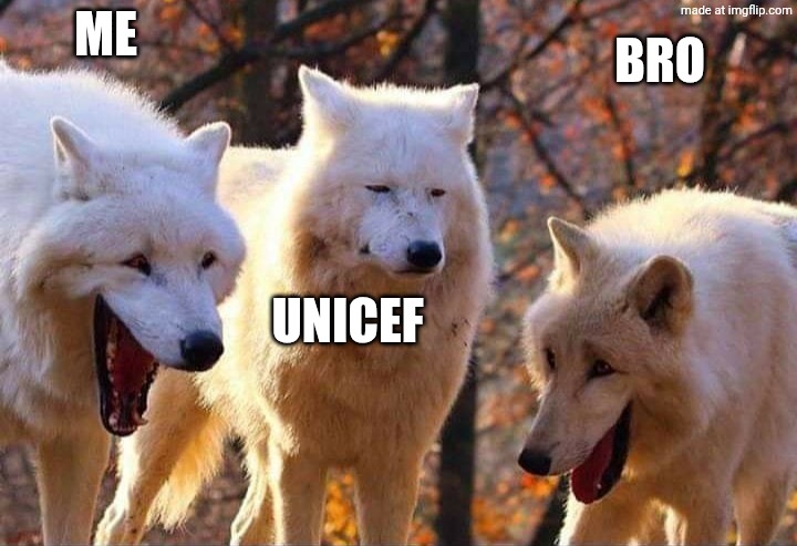 Laughing meme | ME UNICEF BRO | image tagged in laughing wolf | made w/ Imgflip meme maker
