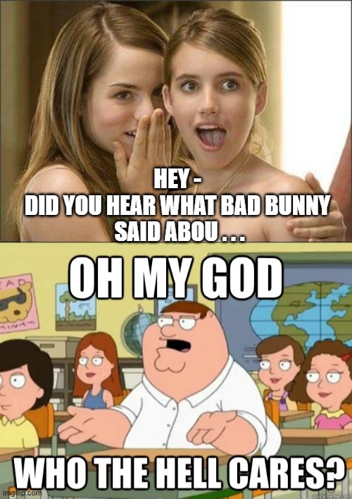 Bad Who ?  Who the F really cares | HEY -
DID YOU HEAR WHAT BAD BUNNY
 SAID ABOU . . . | image tagged in nfl,halftime,bad,bunny,liberal,leftists | made w/ Imgflip meme maker