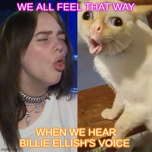 Billie Ellish | WE ALL FEEL THAT WAY; WHEN WE HEAR BILLIE ELLISH'S VOICE | image tagged in stupid girl meme | made w/ Imgflip meme maker