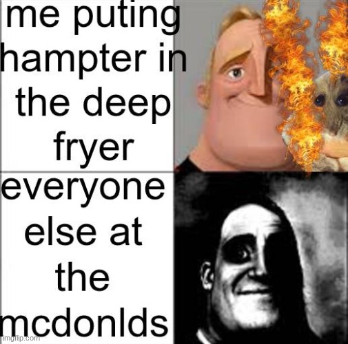 nooo hampter | image tagged in hampter | made w/ Imgflip meme maker