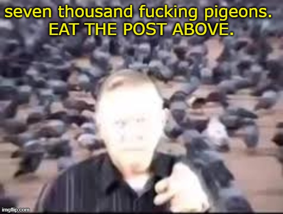 feast | seven thousand fucking pigeons. 
EAT THE POST ABOVE. | image tagged in seven thousand fucking pigeons | made w/ Imgflip meme maker