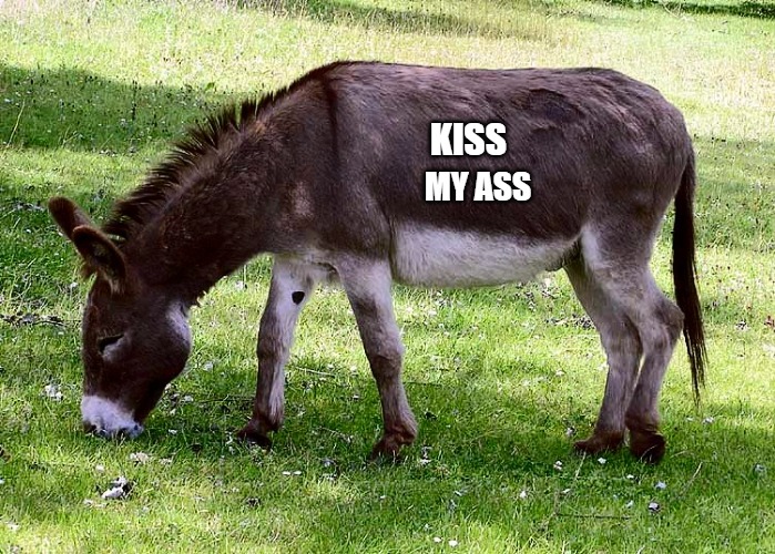 MY ASS KISS | made w/ Imgflip meme maker