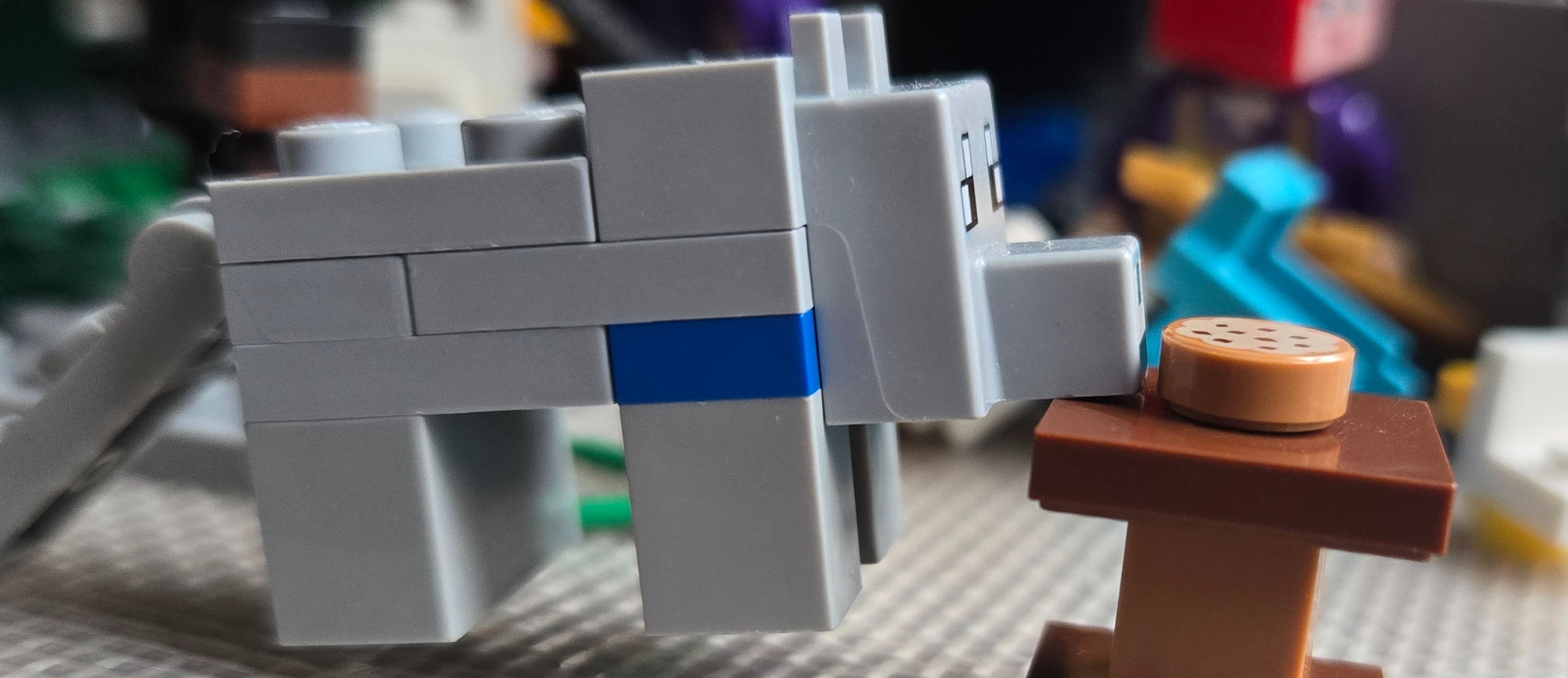 High Quality Dog doesn't care about chaos meme Blank Meme Template