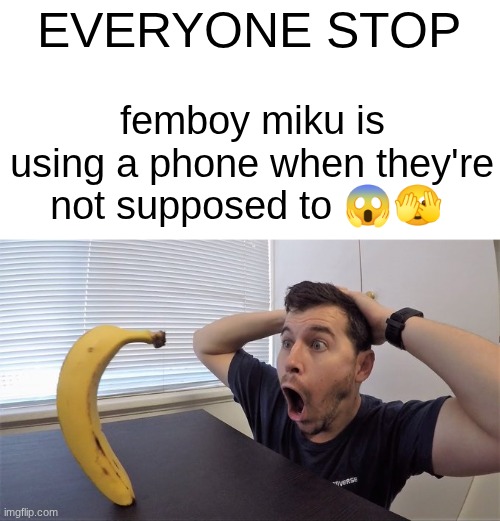 a moment of silence for the courage of a true tuffian | EVERYONE STOP; femboy miku is using a phone when they're not supposed to 😱🫣 | image tagged in man shocked at banana original | made w/ Imgflip meme maker