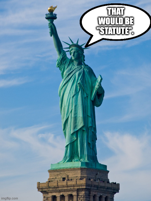THAT WOULD BE "STATUTE". | image tagged in statue of liberty | made w/ Imgflip meme maker