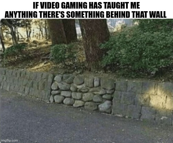 If Video Gaming Has Taught Me Anything | IF VIDEO GAMING HAS TAUGHT ME ANYTHING THERE'S SOMETHING BEHIND THAT WALL | image tagged in chrisjoines1 | made w/ Imgflip meme maker