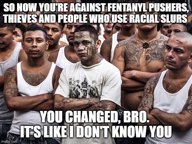 SO NOW YOU'RE AGAINST FENTANYL PUSHERS, THIEVES AND PEOPLE WHO USE RACIAL SLURS YOU CHANGED, BRO.  IT'S LIKE I DON'T KNOW YOU | image tagged in ms-13 dreamers daca | made w/ Imgflip meme maker