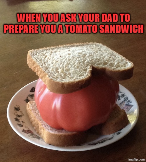 Tomato Sandwich | WHEN YOU ASK YOUR DAD TO PREPARE YOU A TOMATO SANDWICH | image tagged in tomato sandwich | made w/ Imgflip meme maker