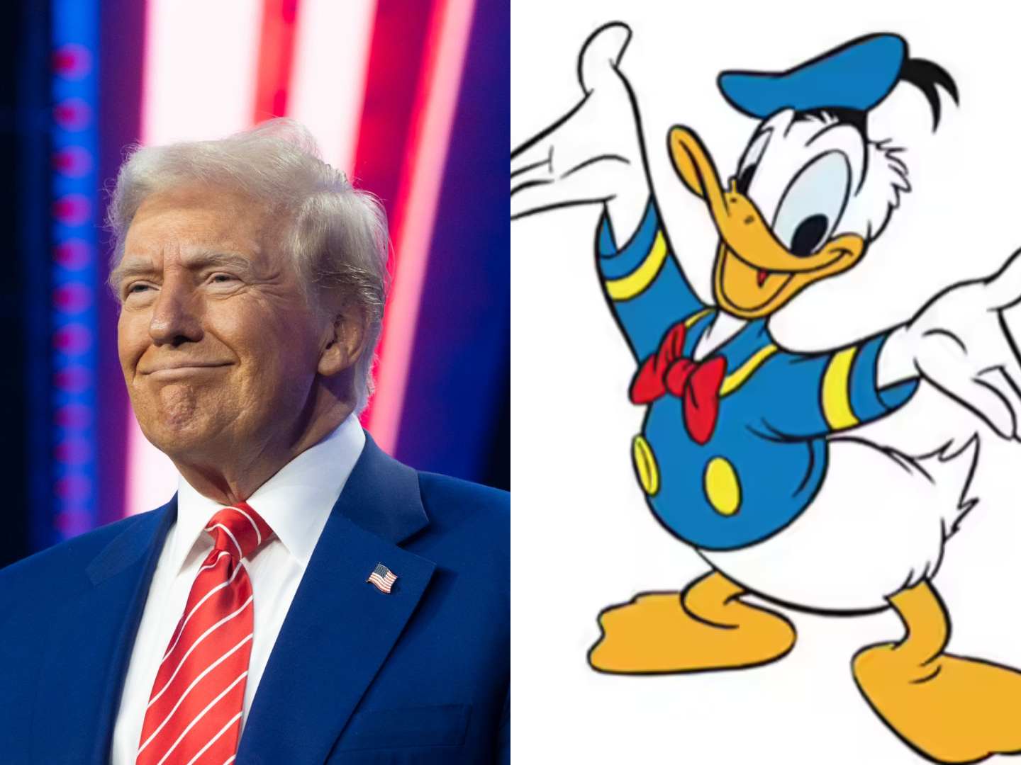 Donald Must Be Duck Again! Blank Meme Template