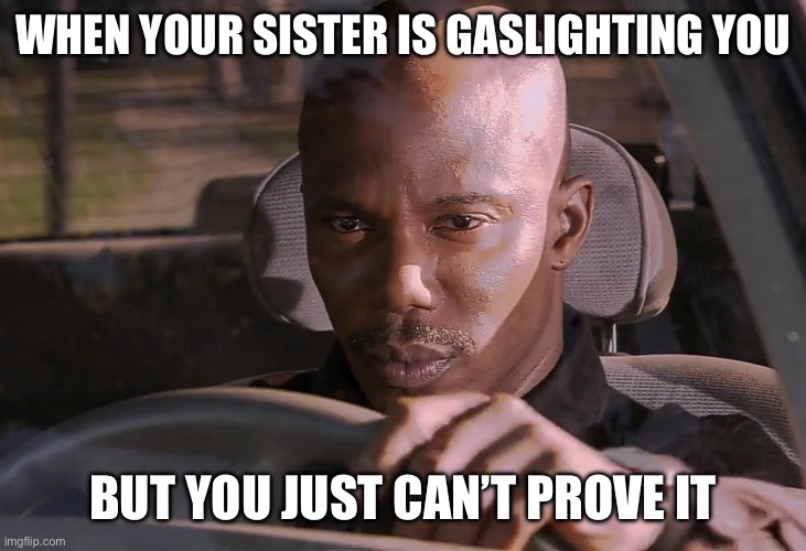 Doakes | WHEN YOUR SISTER IS GASLIGHTING YOU; BUT YOU JUST CAN’T PROVE IT | image tagged in doakes | made w/ Imgflip meme maker