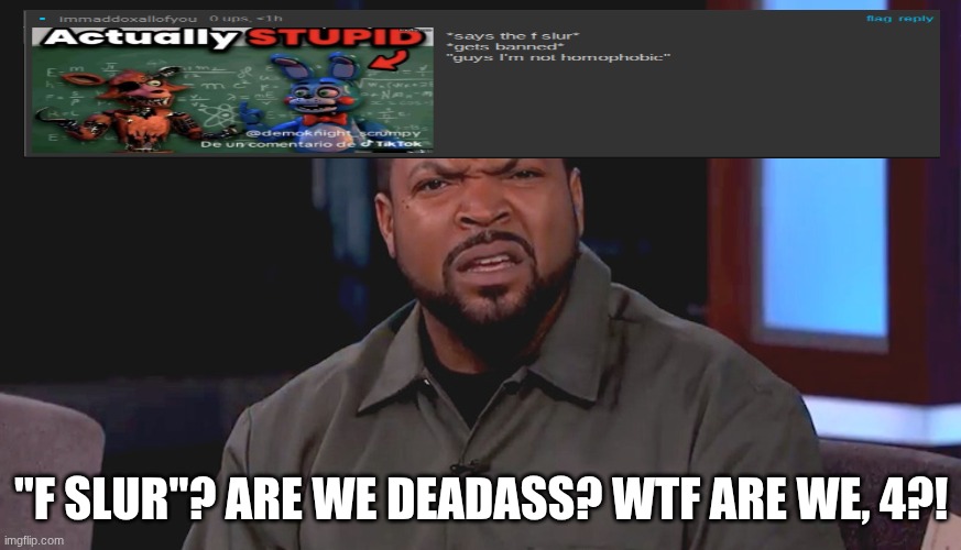 Really? Ice Cube | "F SLUR"? ARE WE DEADASS? WTF ARE WE, 4?! | image tagged in really ice cube | made w/ Imgflip meme maker