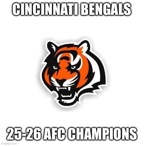 Cincinnati Bengals | CINCINNATI BENGALS; 25-26 AFC CHAMPIONS | image tagged in cincinnati bengals | made w/ Imgflip meme maker